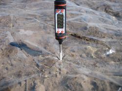 1 мая. Температура почвы под плёнкой на глубине 10 см. 
