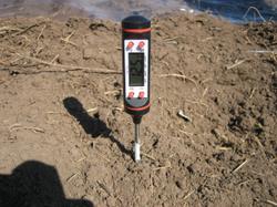 1 мая. Температура почвы без плёнки на глубине 10 см.