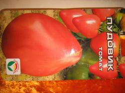Упаковка помидоров сорта "Пудовик".